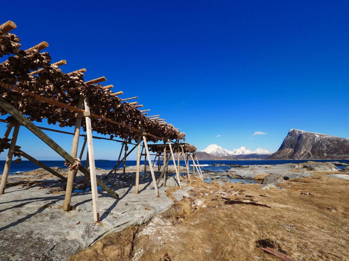 Vestfjorden Panorama Lofoten Villa Valberg Exterior foto